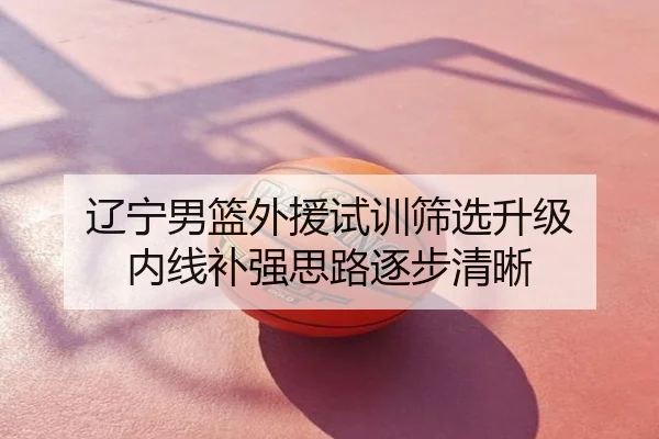 辽宁男篮外援试训筛选升级 内线补强思路逐步清晰